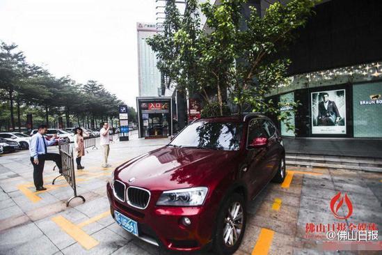 天降大樹插進寶馬車 市民圍觀拍照(圖)