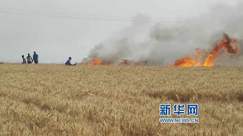 #(新華網(wǎng))(2)山東桓臺(tái):麥田起火
