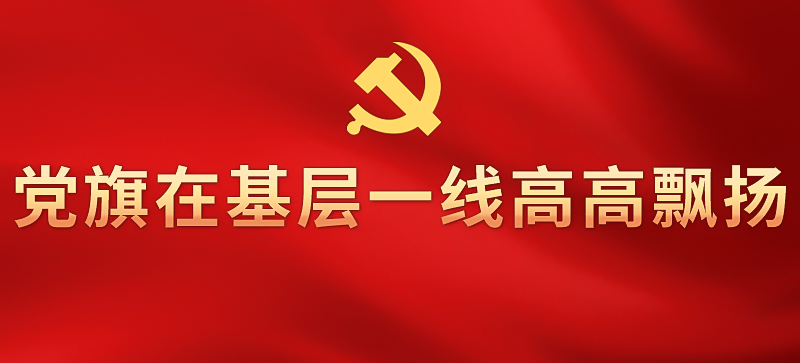 黨旗在基層一線高高飄揚(yáng)