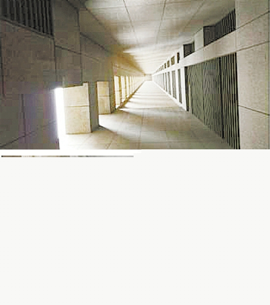 31.jpg 31.jpg